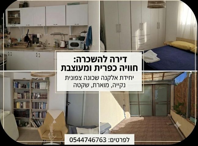 קינמון 3