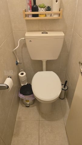 ז'בוטינסקי 154