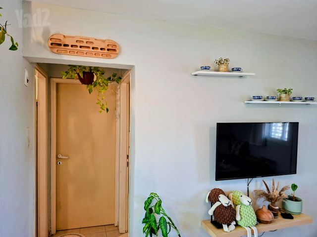 אלכסנדר ינאי 24