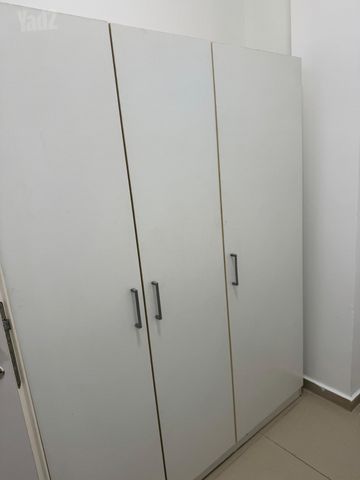 שוקן 15
