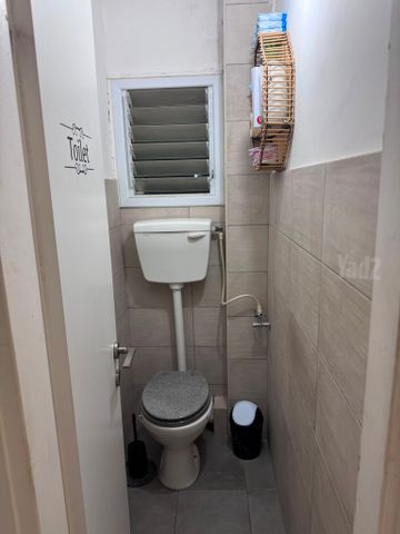 הזמיר 1