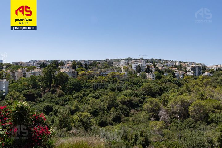 נורית