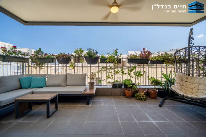 המעיין 