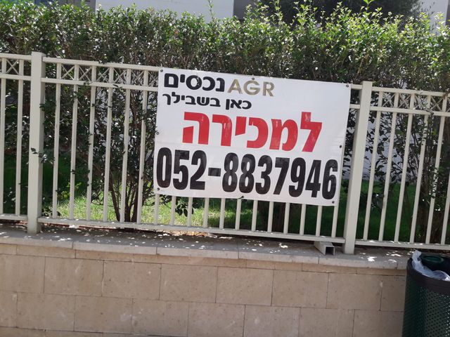 רבוצקי 