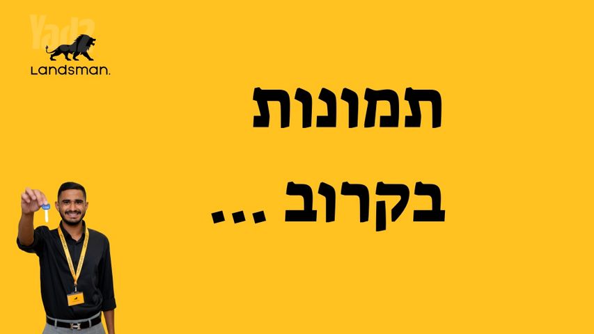 מרגולין 