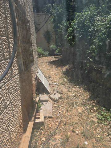 דגניה 