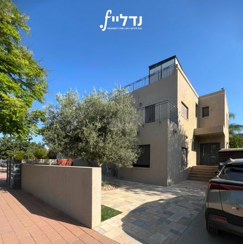 הזית 