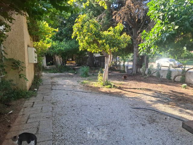 מגרשים
