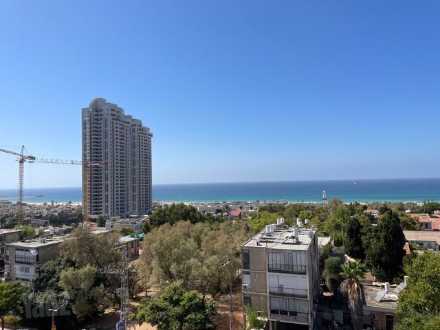 רוגוזין 