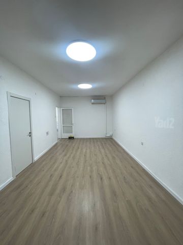 חיים וייצמן 