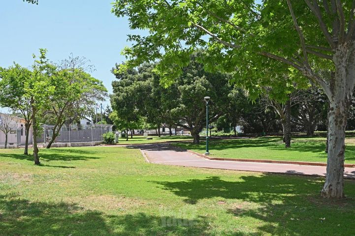 בלפור 97