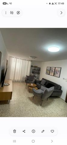 אריה צימוקי 5