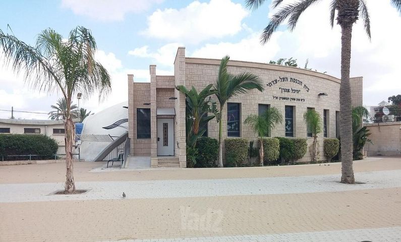 הצבי 27