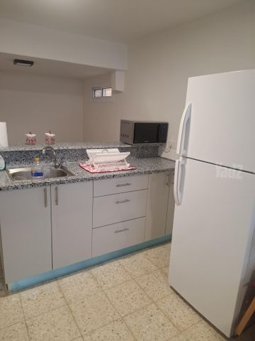הצדף 14