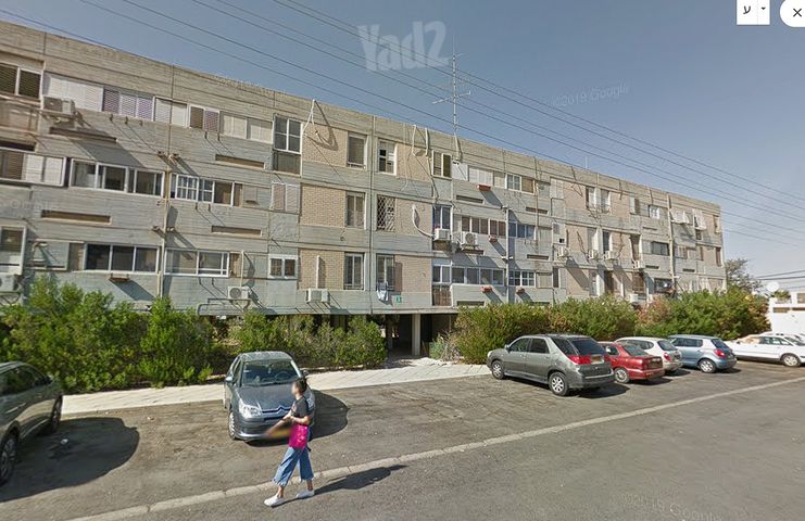 הצבי 3