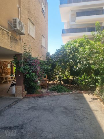 חנקין 6