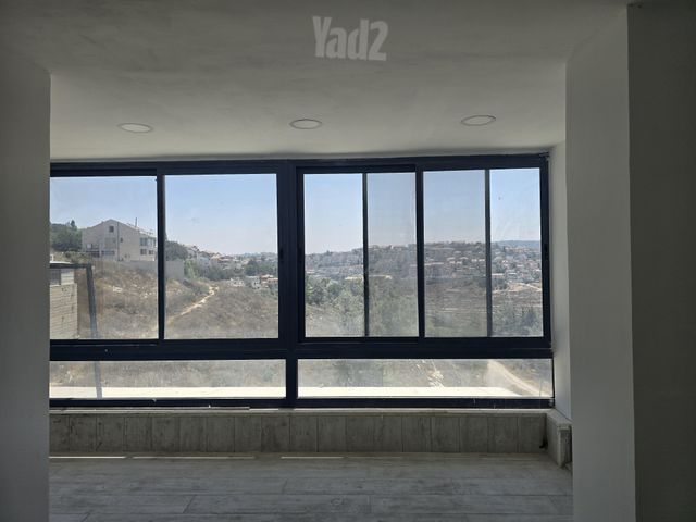 כלנית 14