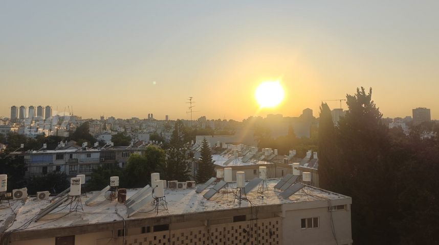 אריה שנקר 18