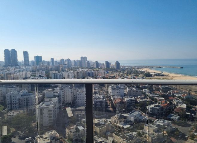 הדקל 5