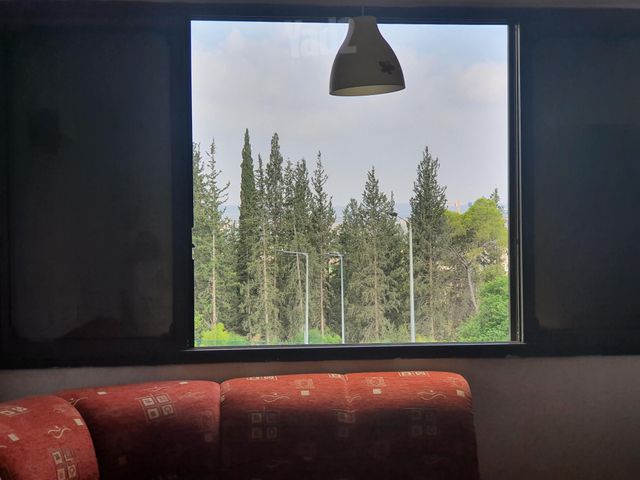 התימורים 25
