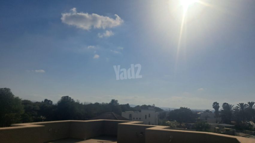 חיבת ציון 44