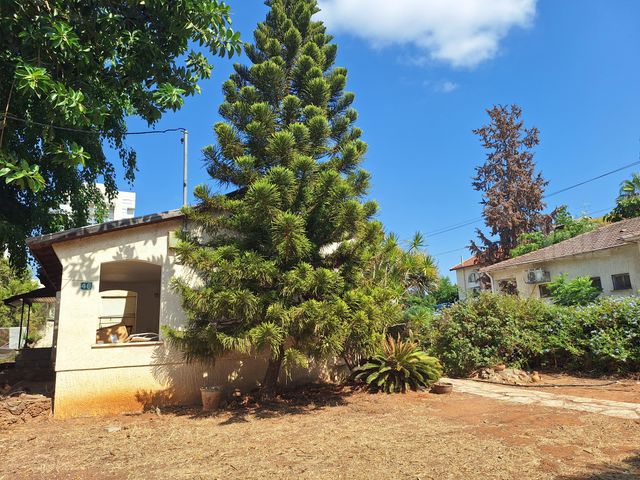 ישורון 46