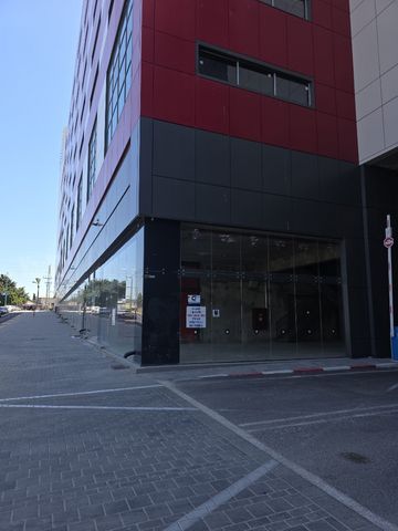 בן ציון גליס 34