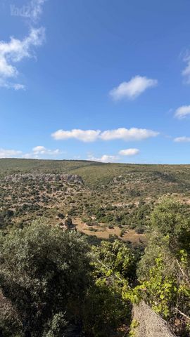 הוד הכרמל, דניה