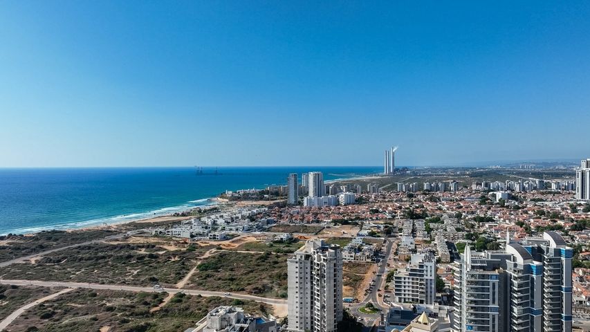 ארזי הלבנון 