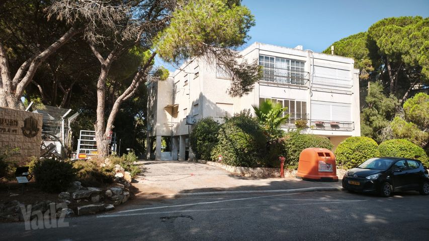 יערות 30