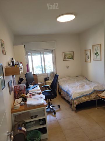 השיירות 29