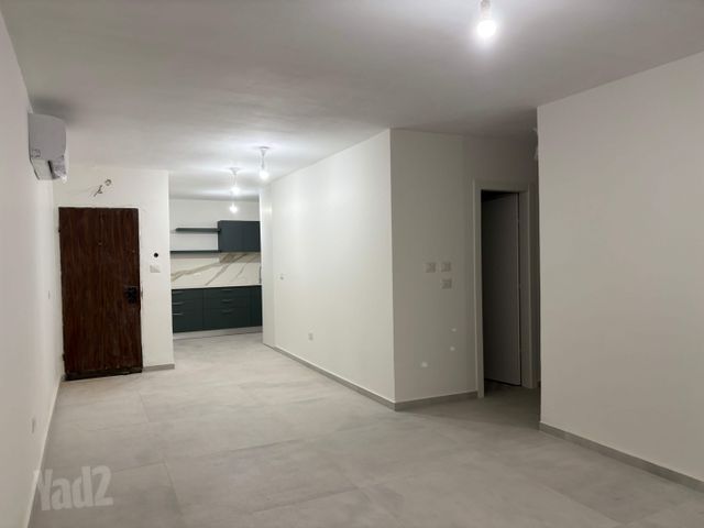צה"ל 24