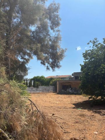 וינגייט 51