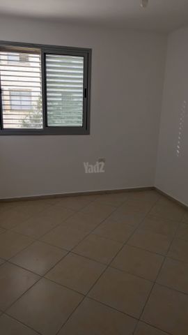 יגאל ידין 43