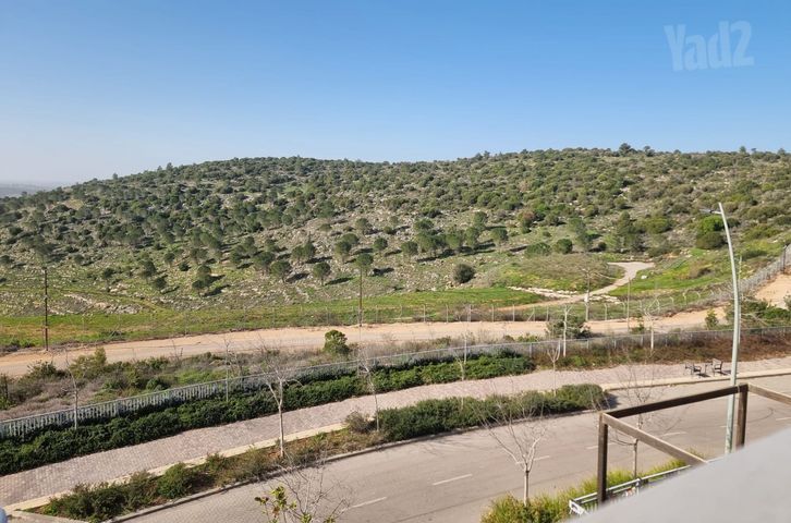 עגור 12