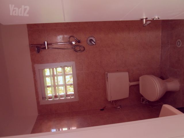 הרב קוק 2