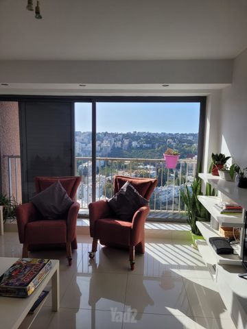 אורן 23