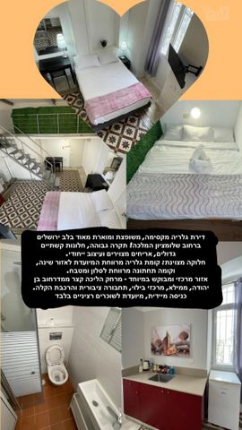 שלומציון המלכה 14