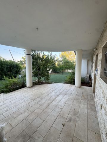 תאנה 227