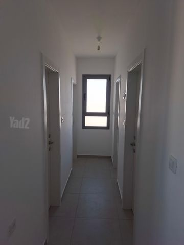 פרנקל 4