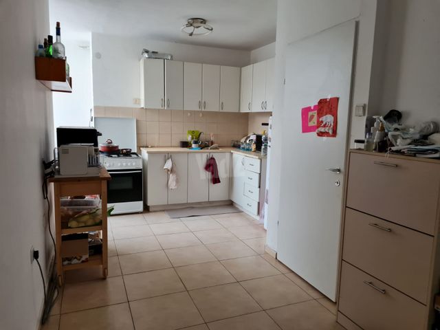 הנשיא יצחק בן צבי 146