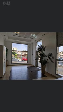 אלכסנדר ינאי 17
