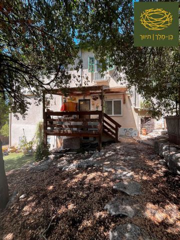 הגפן 