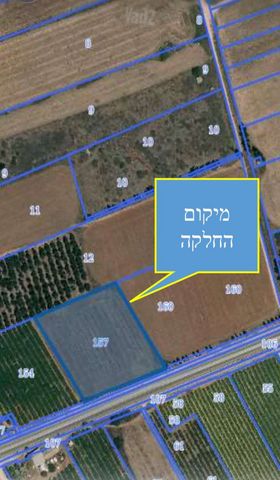 מגרשים