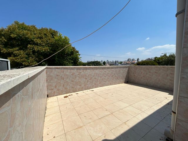 מקס וג'סי כהן 