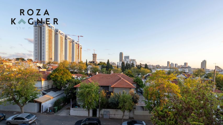 אנילביץ' 29