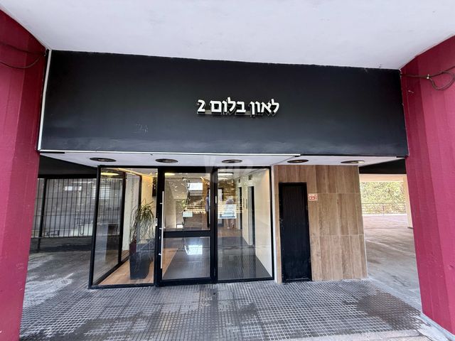 ליאון בלום 