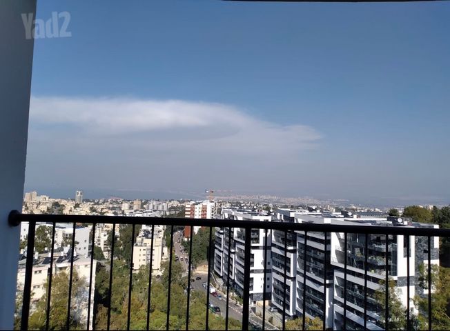 זלמן שניאור 