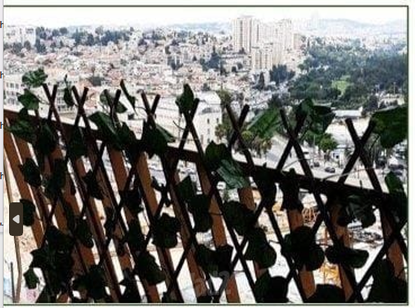 דירה