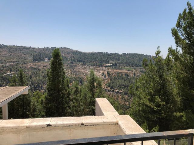 מרווה 14